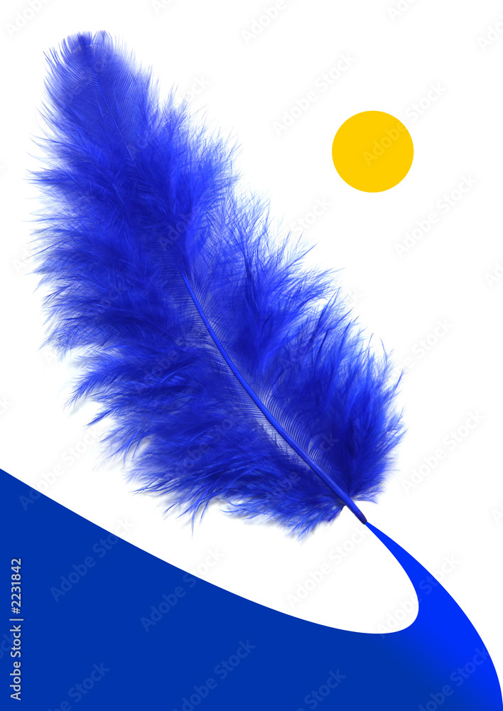 蓝色羽毛之路