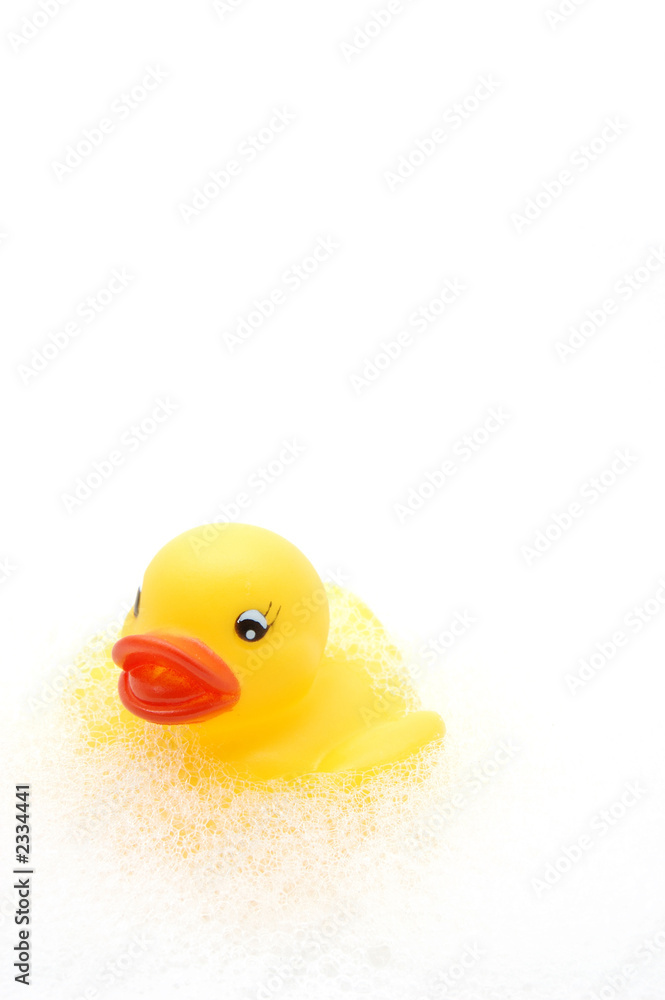 气泡中的黄色橡胶鸭