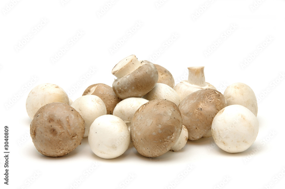 纽扣和棕色蘑菇