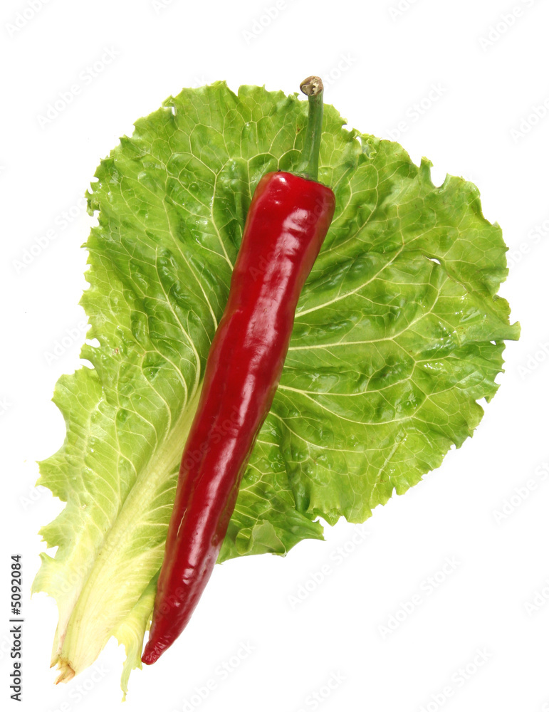 lettuce leaf and pepper
