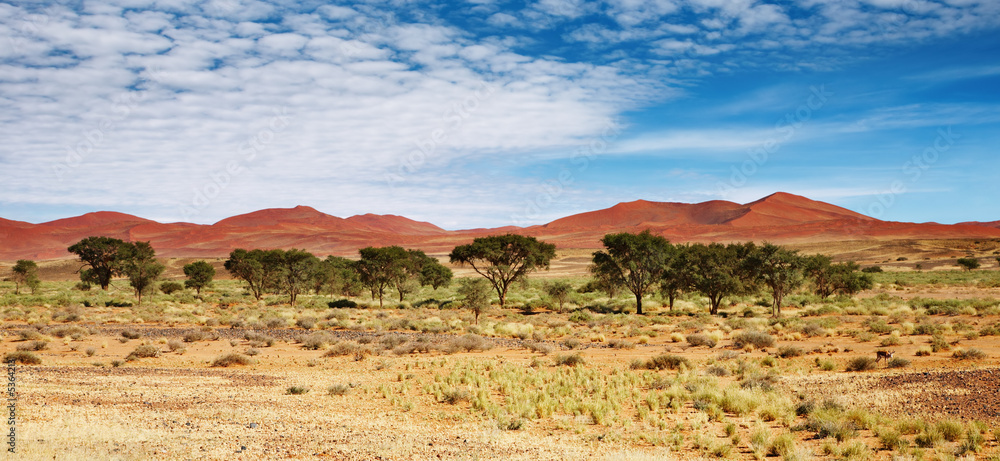 纳米比亚索斯夫利纳米布沙漠沙丘