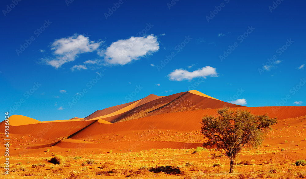纳米比亚索苏斯夫莱纳米布沙漠沙丘
