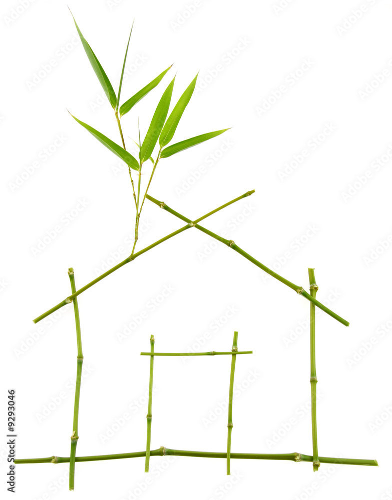 Petite maison verte