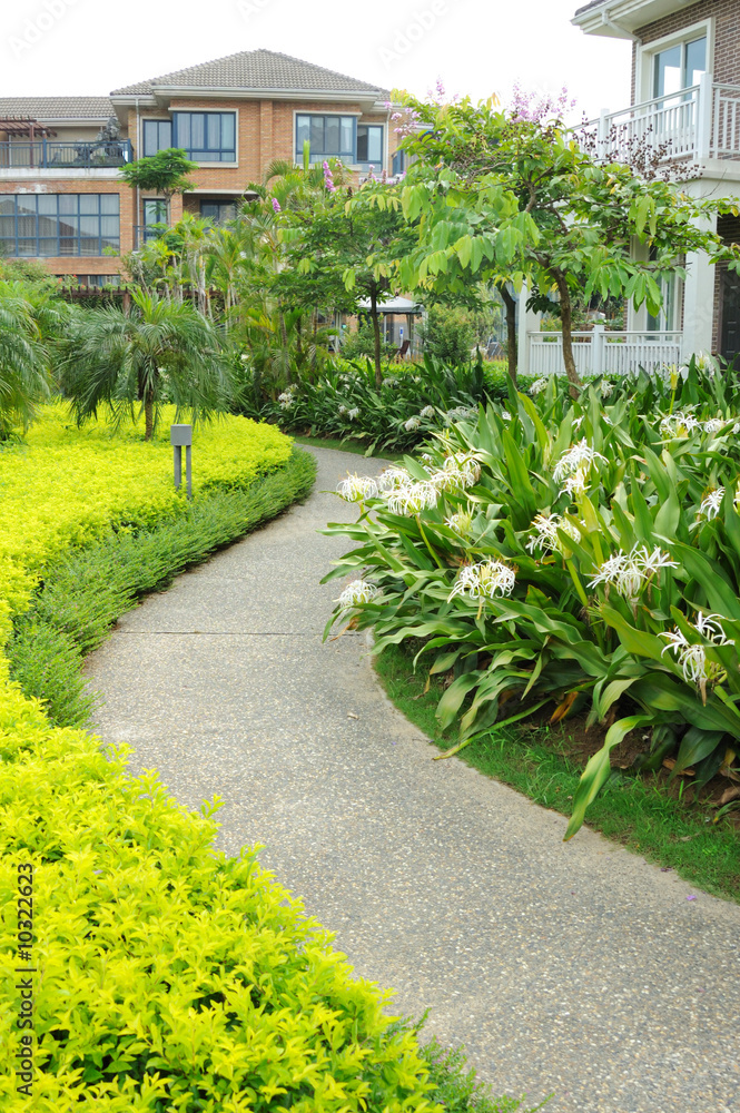 住宅区带人行道和植物的花园