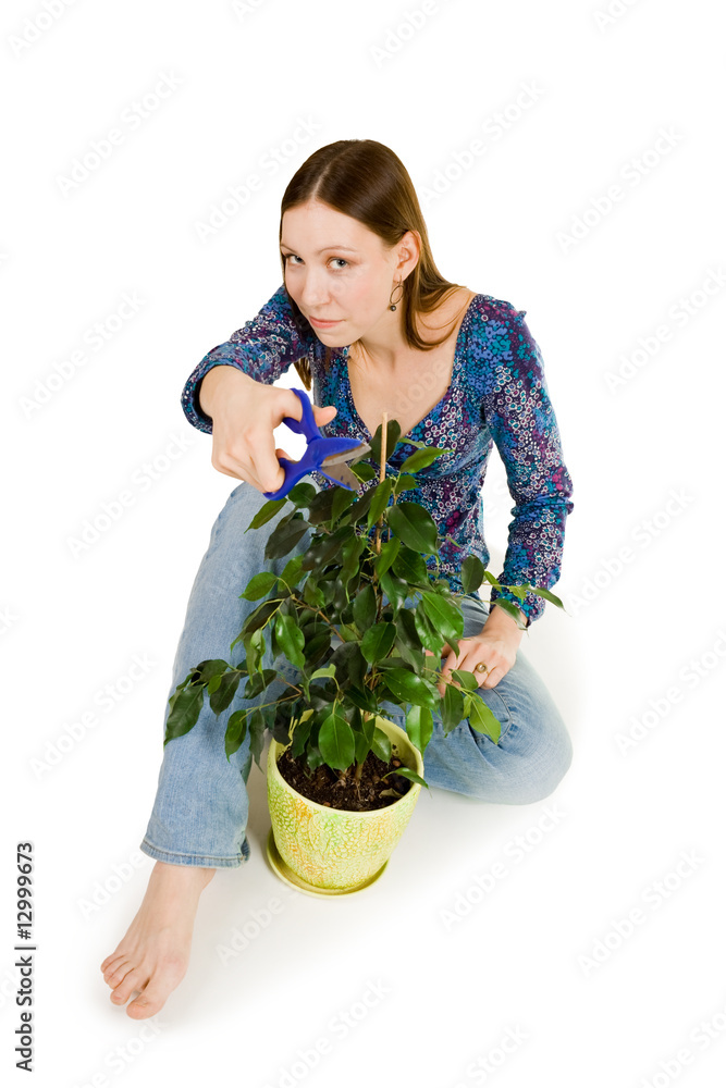 用蓝色剪刀剪植物的女人