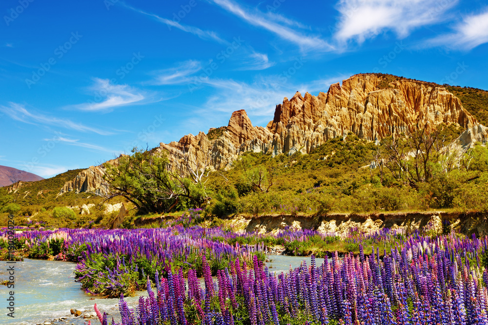 新西兰粘土悬崖风景保护区