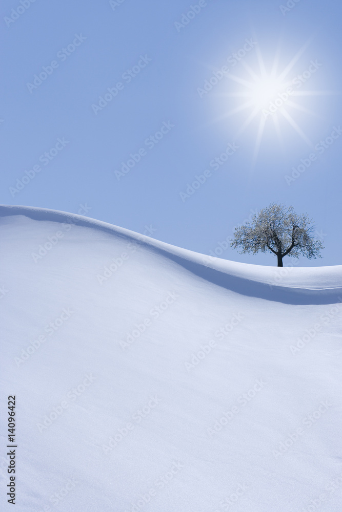 Schneewehe, Oetztal, Baum, Sonne