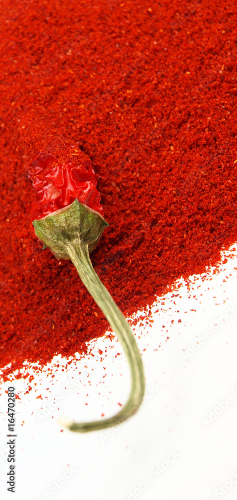 Red chilli pepper with pile of milled spice on white background