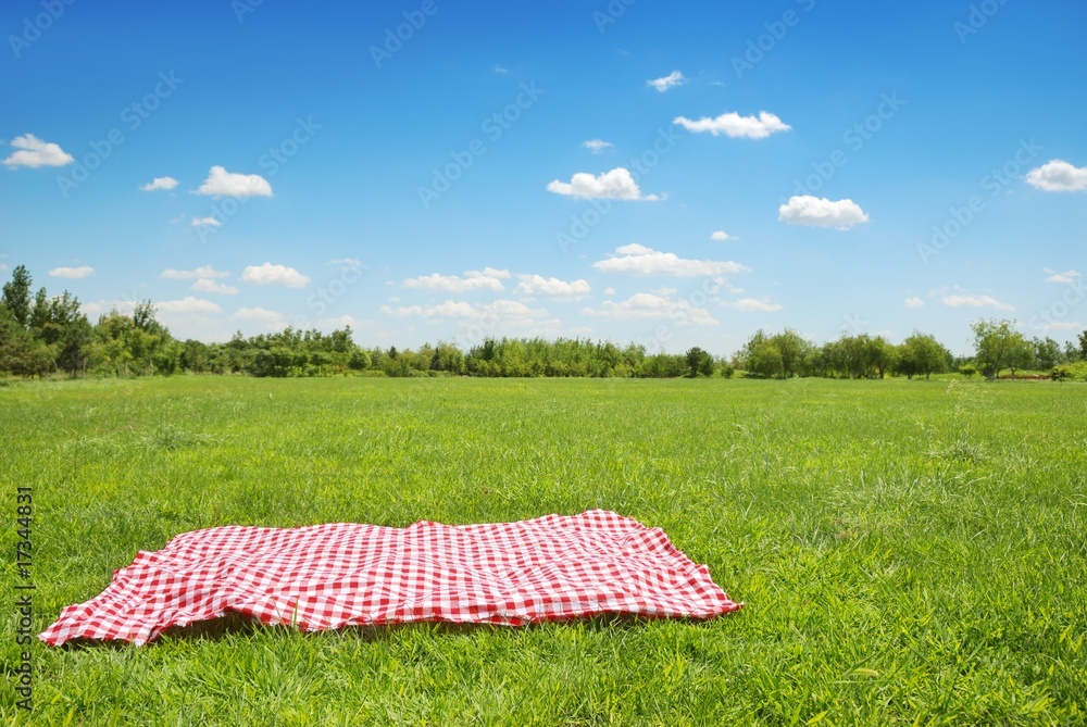 草地上的野餐布