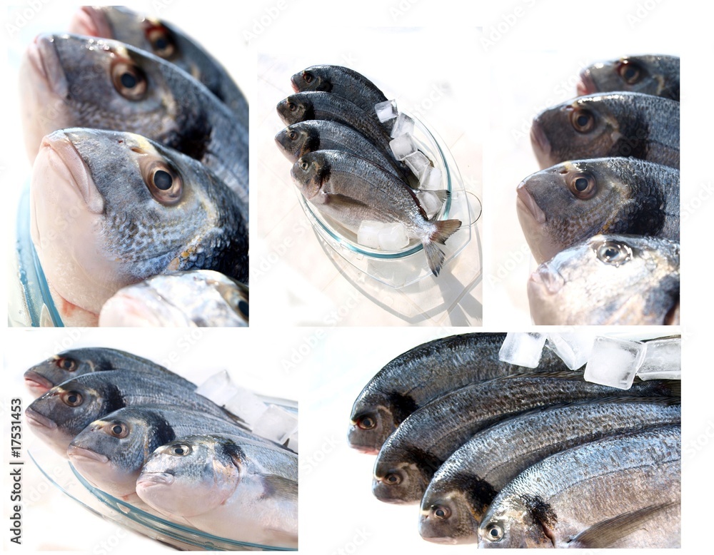 Collection of sea fish served