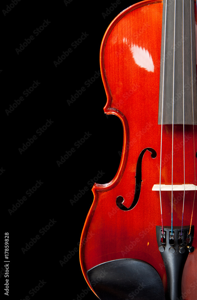 黑色小提琴的局部视图