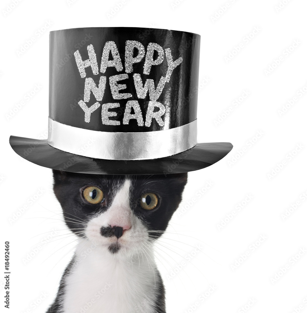 Happy new year kitten