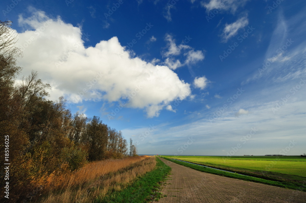 Marken典型的荷兰乡村景观