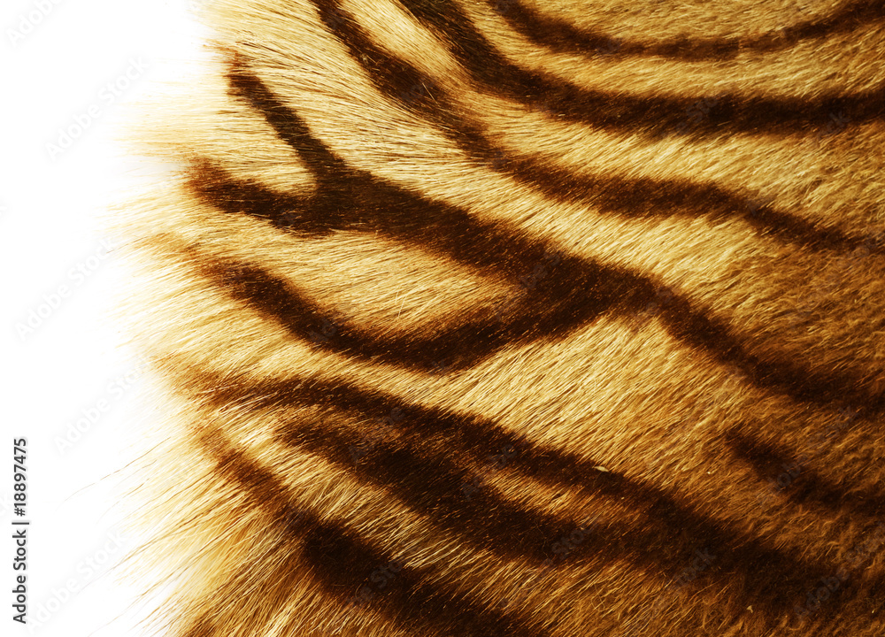 Tiger Skin texture