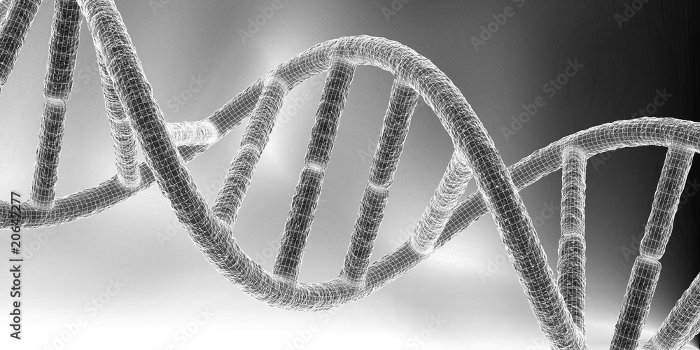 DNA IV
