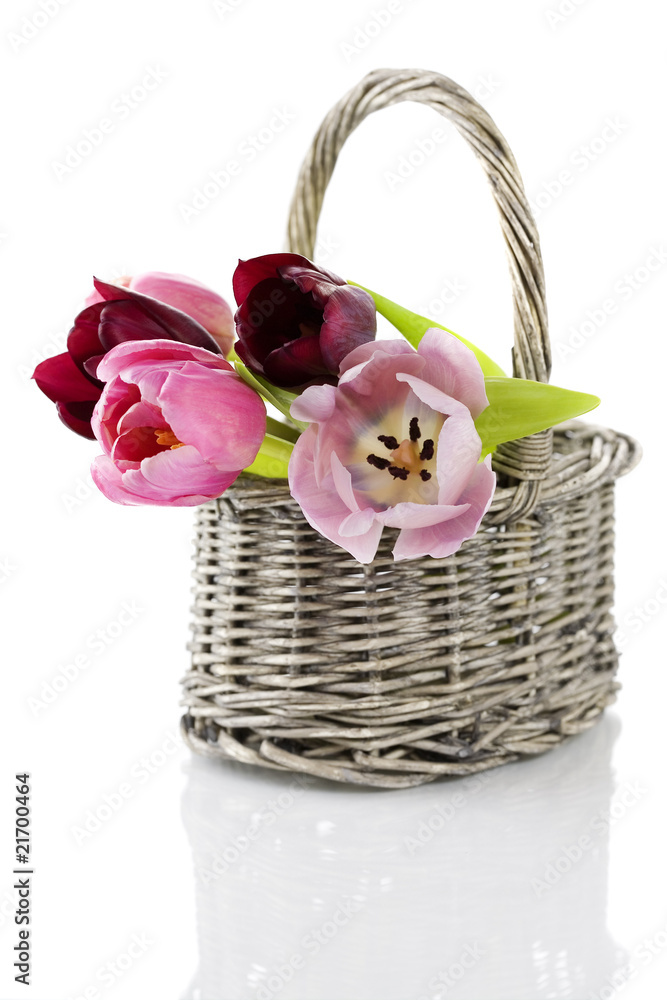 tulips in a wooden basket