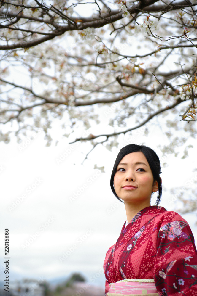 桜　着物　日本　