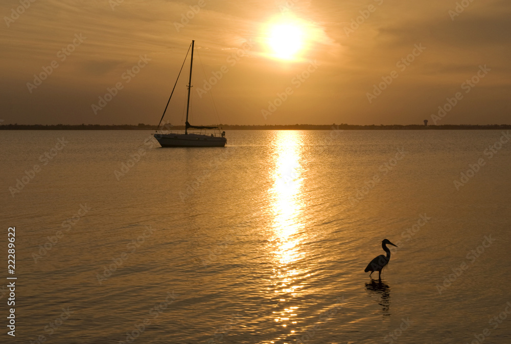佛罗里达日落与帆船和小鸟