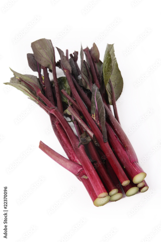 red rapeseed stalk