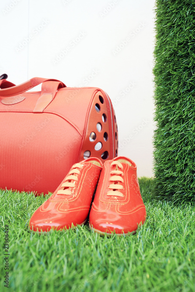 Red luggage and shoes on the grass