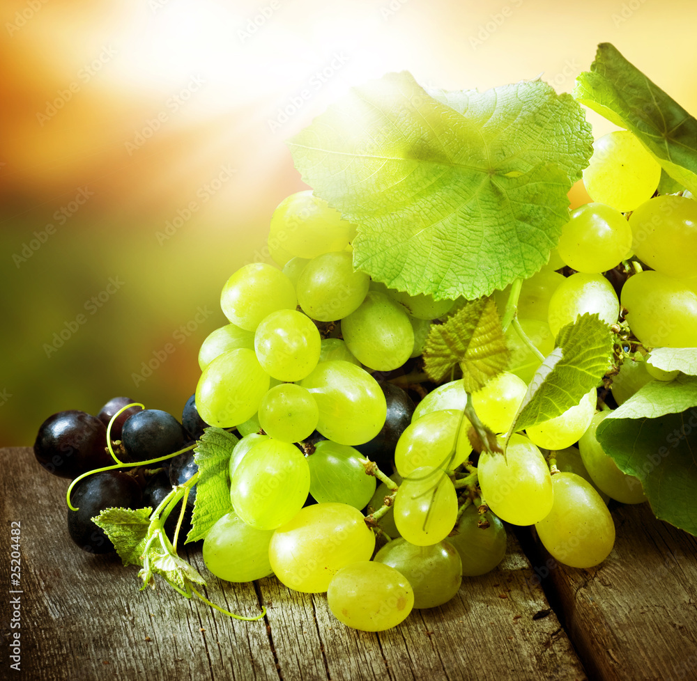 Grapes.Grapevine over vineyard background