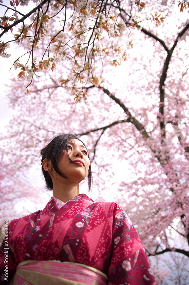桜　着物　日本