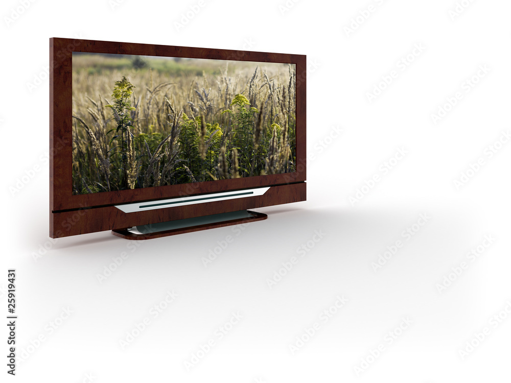 Plasma TV mit Wiesenpflanzen