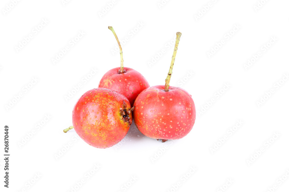 three hawthorn fruit