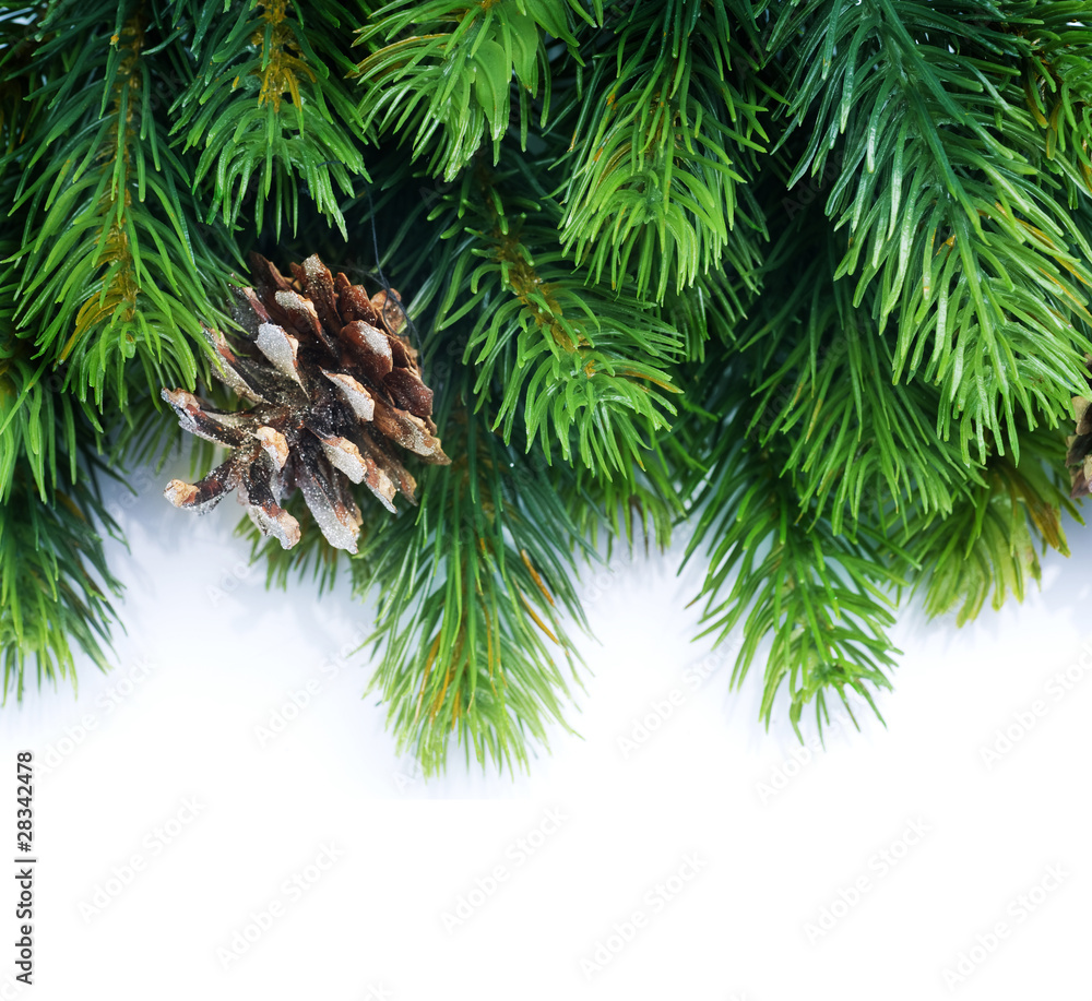 Evergreen Christmas Tree