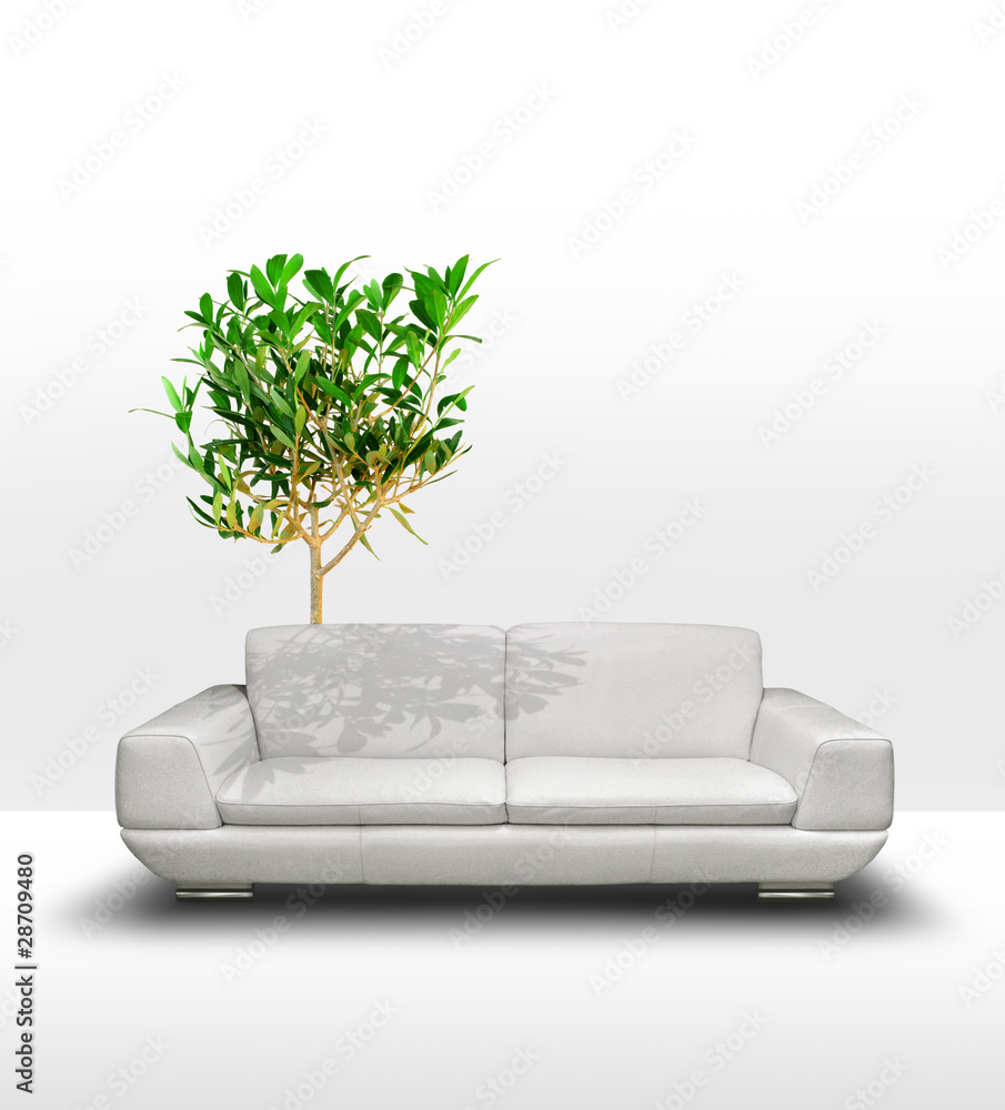 白色沙发，室内绿树，环保理念