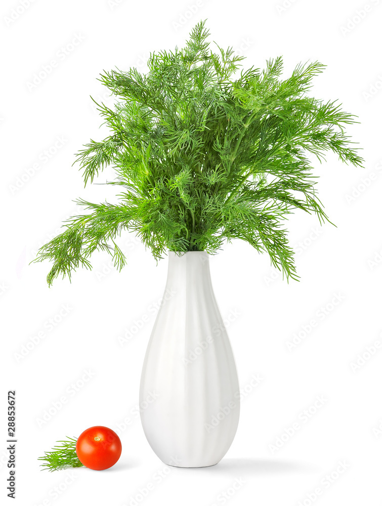 Bouquet of fresh green dill in a vase isolated on white background