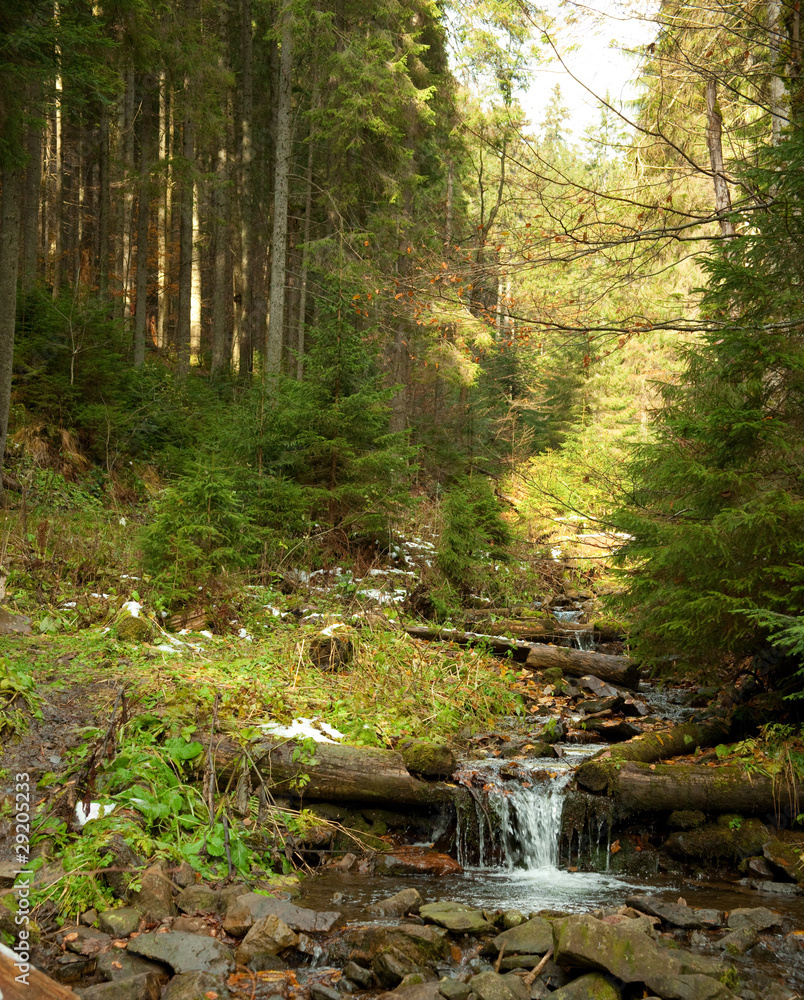 Woodland Stream. A fast flowing stream running through woodland.