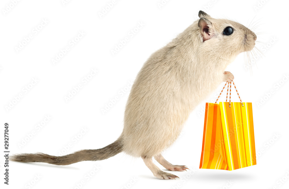 Isolated pet mouse. Little gerbil stands with shopping bag isolated on white background