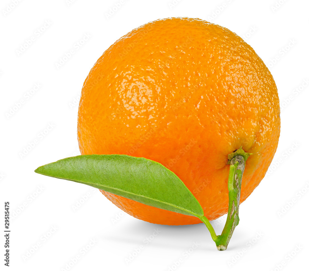 白色分离的橘子