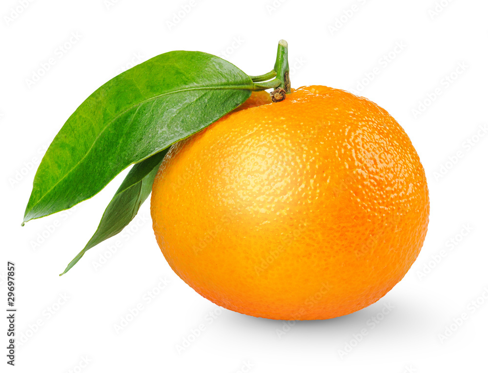 分离的橘子。一个橘子或橘子果实，叶子分离在白色背景上