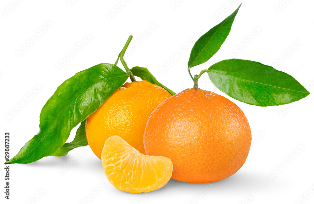 Isolated tangerines. Two tangerine fruits and one peeled segment isolated on white background