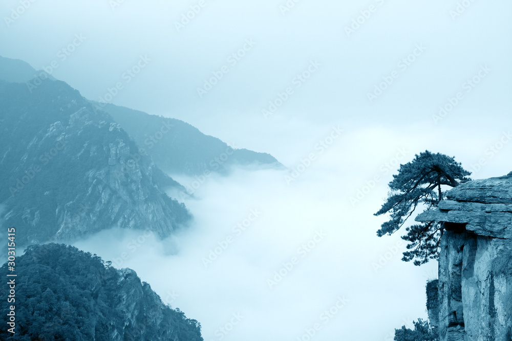 云雾，山景