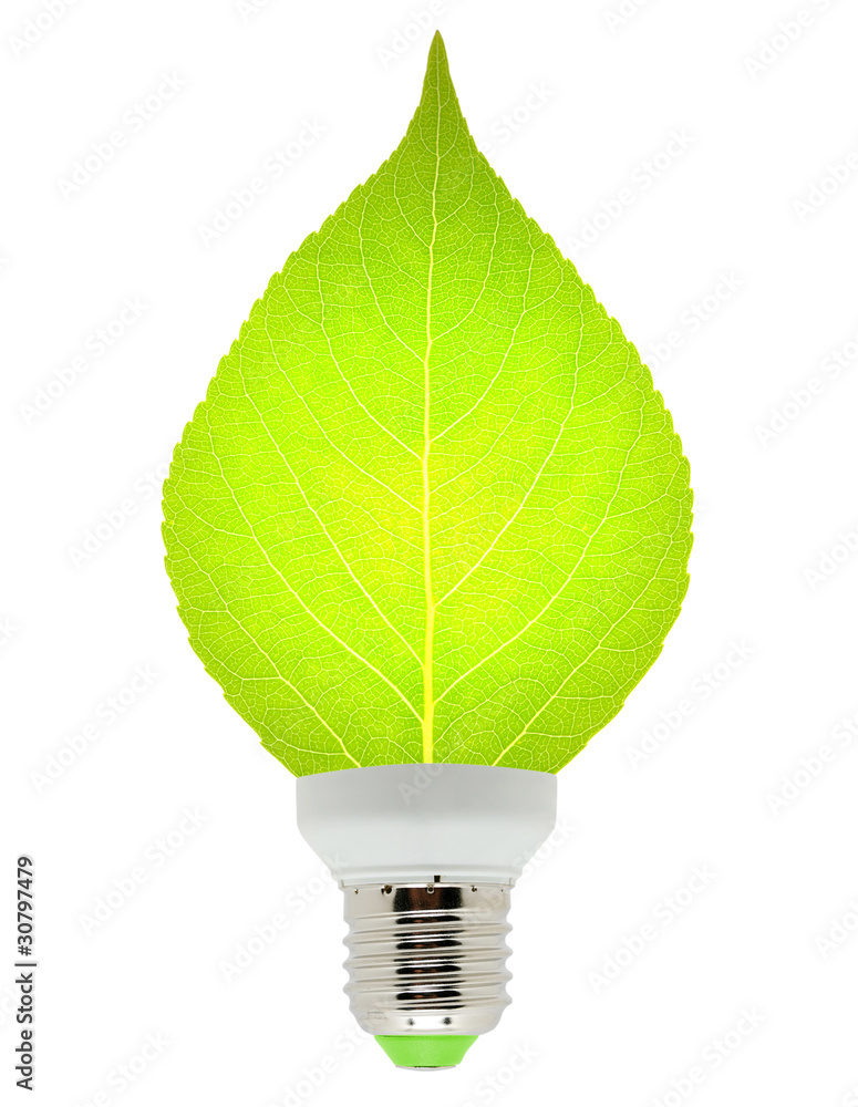 leaf and lamp