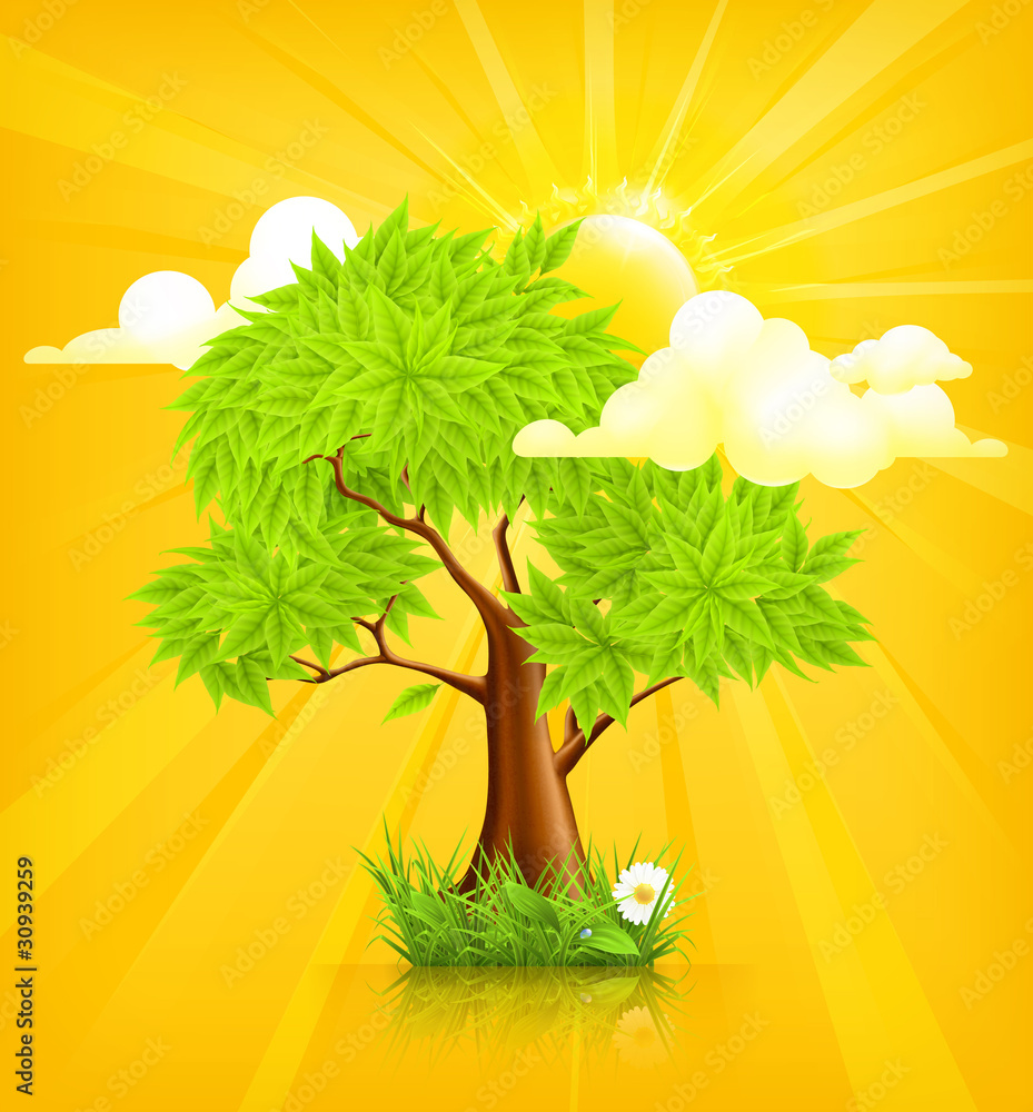 太阳与树