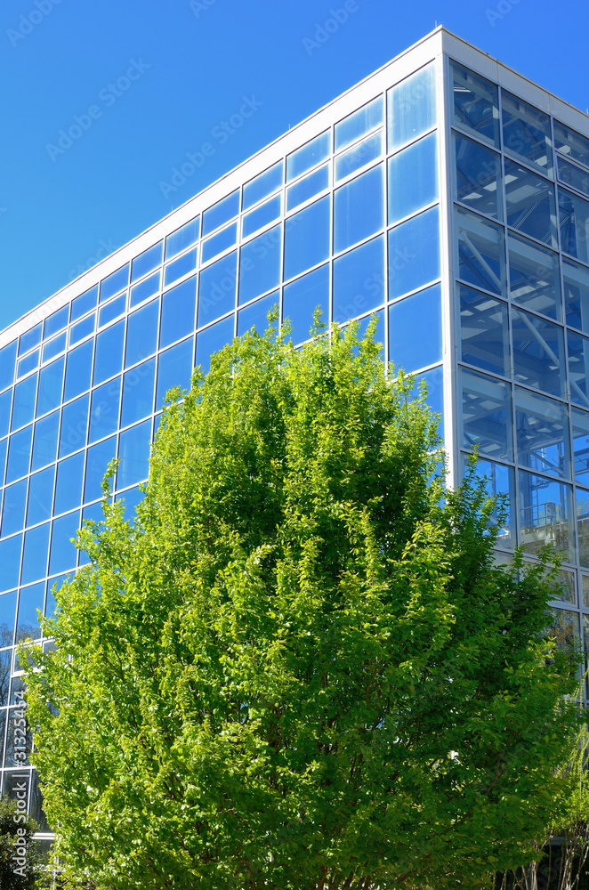 现代玻璃建筑与树木摘要