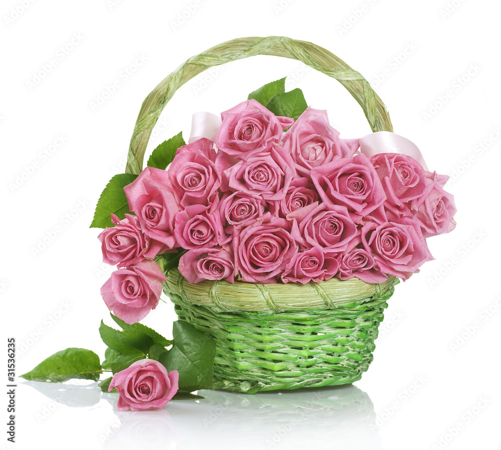 篮子里美丽的粉红色玫瑰。白色隔离