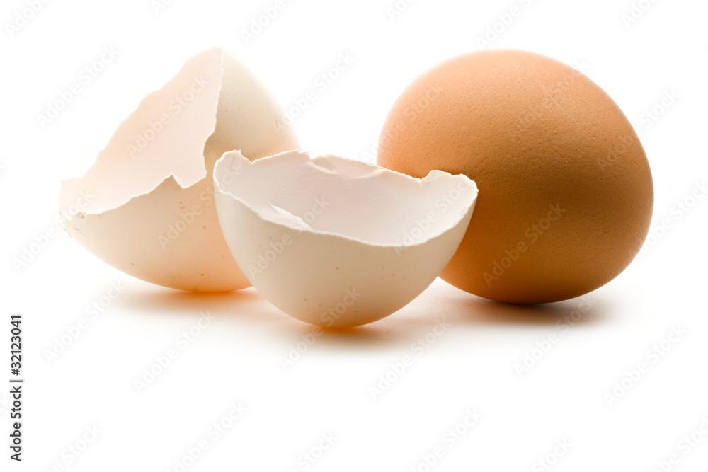 白底蛋和蛋壳