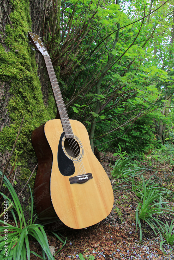 原声吉他靠在一棵长满青苔的树上。