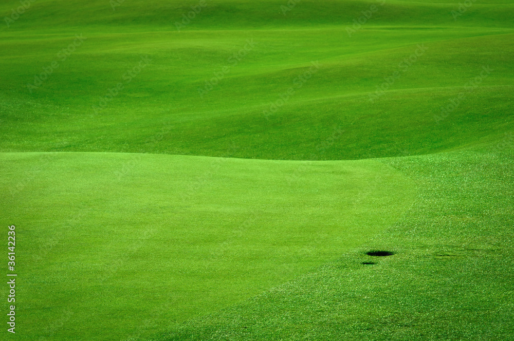 高尔夫背景。带球洞的高尔夫球场细节
