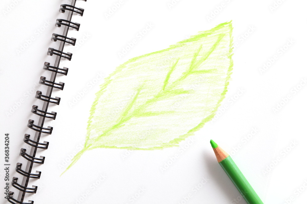 笔记本（带绿叶）和绿色铅笔
