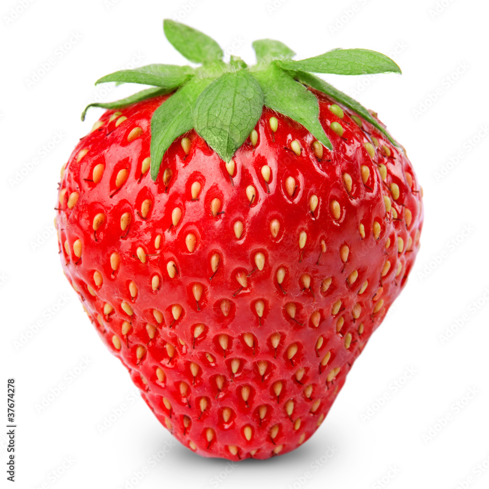 白色背景下分离的草莓浆果