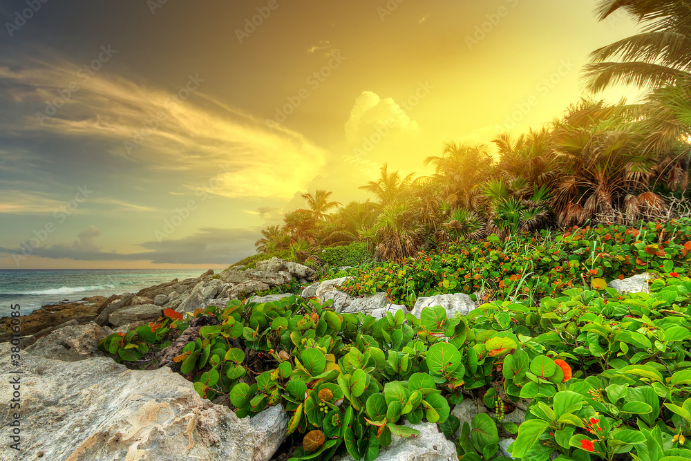 墨西哥加勒比海丛林中的日落