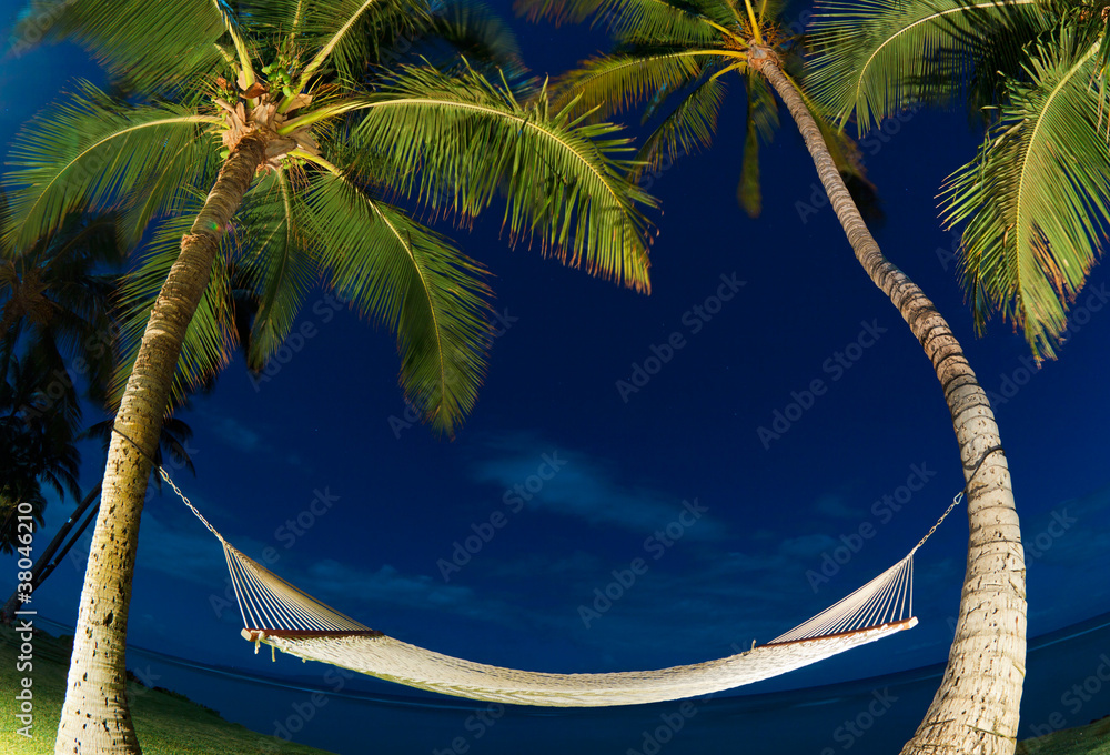 Tropical Night, Palm Trees and Hammock