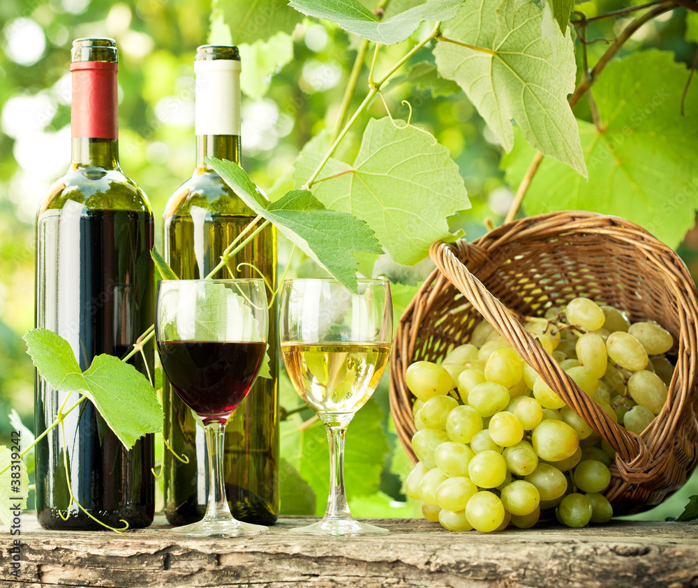 红葡萄酒和白葡萄酒瓶子，两个玻璃杯和篮子里的葡萄