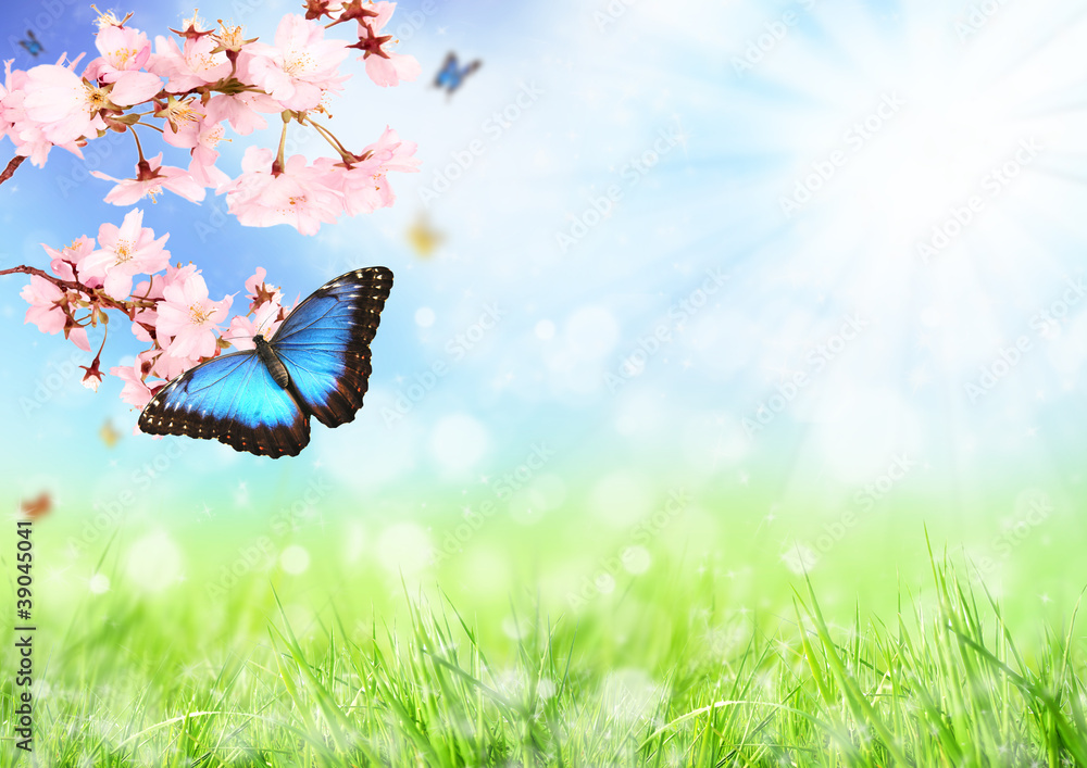 美丽的春天草地，盛开的树枝上有奇异的蝴蝶